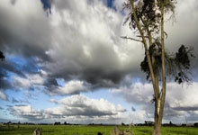 沃夫斯堡对阵拜仁,谁能在德甲赛场占得先机?